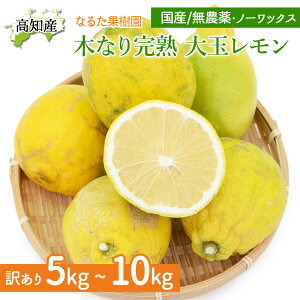   󂠂 ͔|Ԓ _ Y ؐ芮n   m[bNX mY EG Ȃ邽ʎ 炲ƐHׂ Y h hJrܕsgp Yn mhюs Y