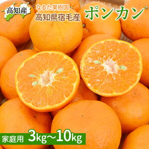 y\z |J mY ƒp Ȃ邽ʎ Yn m hюs Y ۂ񂩂 ݂ ÂĔ 肪 W[V[ k ʕ t[c Â hт̊k_ƂĂ