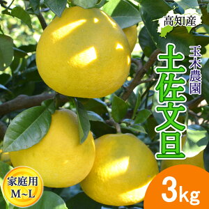 y\z U yU ƒp  MLTCY 6`10 3kg ys Y ʖؔ_ ͂ }Ζʍ͔| Ԃ񂽂 Yn mY 3L W[V[ ܂₩ m u^ ͂ĂɐHׂ