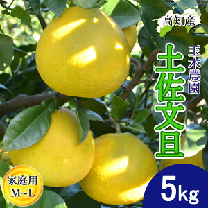 y\z U yU ƒp  MLTCY 12`16 5kg ys Y ʖؔ_ ͂ }Ζʍ͔| Ԃ񂽂 Yn mY 5L W[V[ ܂₩ m u^ ͂ĂɐHׂ