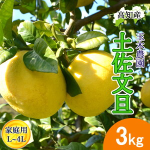 y\zU yU ƒp L`4LTCY 5`8 3kg ys Y ʖؔ_ ͂ }Ζʍ͔| Ԃ񂽂 Yn mY 3L W[V[ ܂₩ m u^ ͂ĂɐHׂǏn