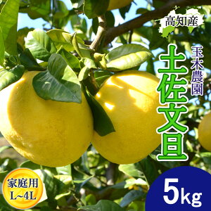 y\z U yU ƒp L`4LTCY 7`13 5kg ys Y ʖؔ_ ͂ }Ζʍ͔| Ԃ񂽂 Yn mY 5L W[V[ ܂₩ m u^ ͂ĂɐHׂ