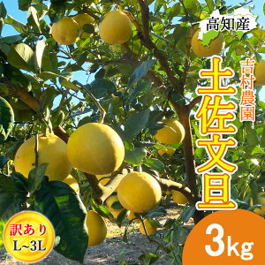 y\z U yU 󂠂 3kg L`3LTCY  4`10 g_ hѕU Y h Ԃ񂽂 hюs Yn mY hюY 3L W[V[ ܂₩ m u^ ͂ĂɐH