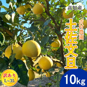 y\z U yU 󂠂 10kg L`3LTCY  14`24 g_ hѕU Y h Ԃ񂽂 hюs Yn mY hюY 10L W[V[ ܂₩ m u^ ͂Ă