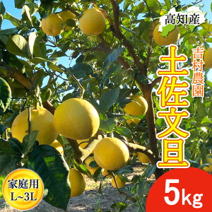 y\z U yU ƒp 5kg L`3LTCY  7`12 g_ hѕU Y h Ԃ񂽂 hюs Yn mY hюY 5L W[V[ ܂₩ m u^ ͂ĂɐH