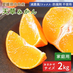 �y�\��z�����Y �݂��� �V�� �ƒ�p 2kg ���_�� �T�C�Y���� �V���I�����W ���܂��� �Y�n���� ���݂��� ���k ���Q �V���~�J�� ���Y ���˓��C ���� ���Q�� �����Y ��]�̓��Y �Y�� �m�[���b�N�X 