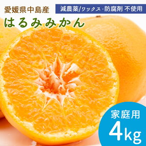 �y�\��z�����Y �͂�� �݂��� �ƒ�p 4kg �T�C�Y���C�� �͂�݂݂��� ���_�� �Y�n���� ���݂��� ���k �ʕ� �t���[�c ���Q �~�J�� ���Y ���˓��C ���� ���Q�� ��]�̓��Y �m�[���b�N�X �h����