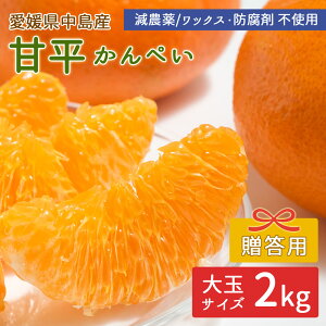 �y�\��z�����Y �݂��� �Õ� 2kg �����Õ� ����؂� �����p ���I�i ��ʃT�C�Y ���_�� �Y�n���� ���݂��� ���k �ʕ� �t���[�c ���Q �~�J�� ���Y ���˓��C ���� ���Q�� �Y�� ��]�̓��Y �m�[��