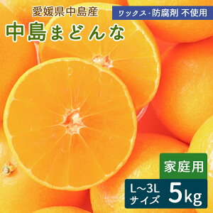 y\z܂ǂ ƒp L`3L 5kg 20`25 Yn ݂ k Q܂ǂ ܂ǂȃ~J Y ˓C  Q Y ]̓Y Y m[bNX hܕsgpy