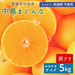 y\z܂ǂ 󂠂 Bi TCY 5kg Yn ݂ k Q܂ǂ ܂ǂȃ~J Y ˓C  Q Y ]̓Y Y m[bNX hܕsgpy