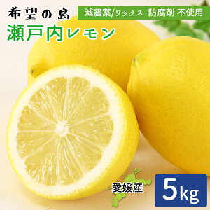 Yn ˓ 5kg ƒp c_[  ˓C  EG 5L O[ CG[ Q Y ]̓Y _ m[bNX hܕsgp TCY܂