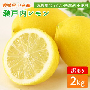 Yn ˓ 󂠂 c_[  2kg ˓C ̓ EG  2L O[ CG[ Q Y ]̓Y Y _ m[bNX hܕs