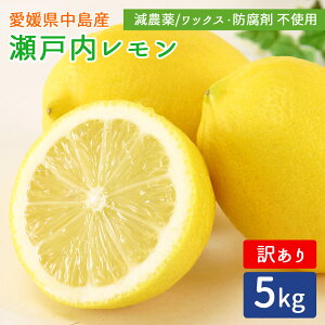 Yn ˓ 󂠂 c_[  5kg ˓C ̓ EG  5L O[ CG[ Q Y ]̓Y Y _ m[bNX hܕs