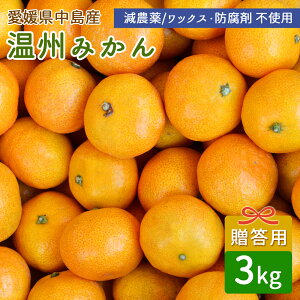 y\zYn B݂ 3kg p Ii ݂ Y ݂  ~J ˓C ]̓Y 3L Q Y Y _ m[bNX hܕsgpyz