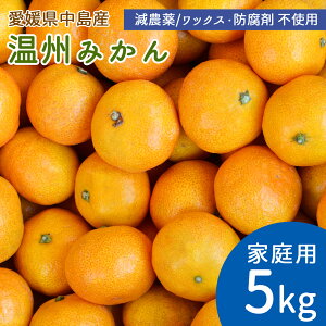 【予約】産地直送 中島産 みかん 甘小粒 5kg 60〜80個 家庭用 小玉 S・2Sサイズ ミカン 温州みかん 5キロ 国産 島みかん 瀬戸内海 離島の島 愛媛県 中島産 希望の島産 産直 減農薬 ノーワックス