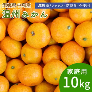 【予約】産地直送 中島産 みかん 甘小粒 10kg 120〜160個 家庭用 小玉 S・2Sサイズ ミカン 温州みかん 10キロ 国産 島みかん 瀬戸内海 離島の島 愛媛県 中島産 希望の島産 産直 減農薬 ノーワック
