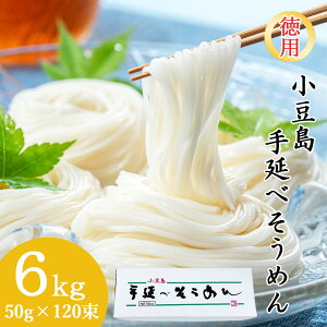 nˉ  艄 f 6kg 50g×120 60lO p Ȃ  ̂ ߂ 艄׊߂ 쌧 \[ ăMtg  ̓ ̓ hV̓ Mtg 䒆 