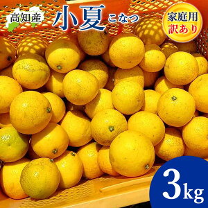 フルーツ 土佐小夏」の人気商品一覧・価格比較 - 価格.com