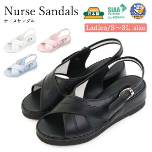 { i[XT_ ItBXT_ R mXbv T_ ɂ i[XV[Y fB[X d ItBX a@ Ōt      u[ sN ƃN