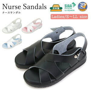 {  i[XT_ Ռzq[ ItBXT_ R mXbv T_ ɂ i[XV[Y fB[X d ItBX a@ Ōt      