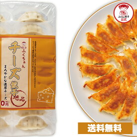 【ZIP・めざましテレビで紹介】チーズ餃子 送料無料 ギフト 餃子 ぎょうざ ギョウザ 生餃子 冷凍餃子 冷凍生餃子 冷凍食品 業務用 大容量 お取り寄せ おかず お弁当 母の日 父の日 敬老の日 お中元 お歳暮