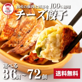【ZIP・めざましテレビで紹介】チーズ餃子 送料無料 ギフト 餃子 ぎょうざ ギョウザ 生餃子 冷凍餃子 冷凍生餃子 冷凍食品 業務用 大容量 お取り寄せ おかず お弁当 母の日 父の日 敬老の日 お中元 お歳暮