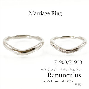 yyAOzy}bWOzPt900/Pt950 yAO Vv _Ch v`i900 v`iyzy󖳗zyOP[Xtz w