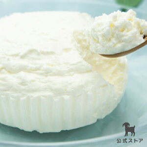 ySiP3{}\z€~ÑA`[YP[LyzRr veBEVF[ kCY Y Mtg Ⓚ nEB