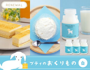 ySiP3{}\zyveB̂ --zRr €~N Dy ʔ veBEVF[ kC Rr~N Y ̔ q Ⓚ  Mtg 킢 v[g