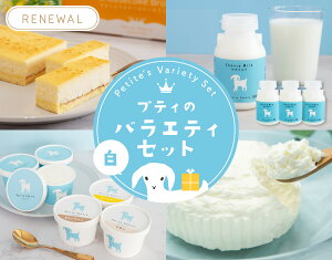 ySiP3{}\zyveB̃oGeBZbg --zRr €~N M~N Dy ʔ veBEVF[ kC Rr~N Y ̔ q Ⓚ  Mtg 