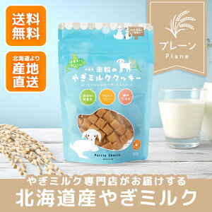 ĕ̂€~NNbL[iLpjyz €~N Rr veBEVF[ kCY Y veB VF[ M~N  L Rr~N Oet[ Y ~l A~