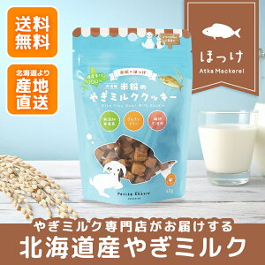 ySiP3{C[OXӍՌzĕ̂€~NNbL[ قiLpjyz €~N Rr veBEVF[ kCY Y Mtg Ⓚ veB VF[ M~N