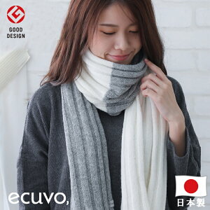 yő10%offN[|z ecuvo TCNE[ × TCN|GXe }t[ XJ[t fB[X Y g  킢 h ~ LbY q j̎q ̎q XL[ Xm{ 