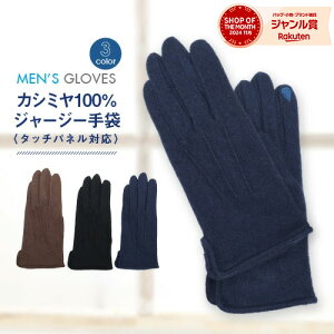 yő10%offN[|z  Y JV~100W[W[ X}zΉ Y X}[gtHΉ X}zO[u g h  ~  킢   ] 