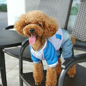   g H~hoYdobazihoYj hbOEFA ȂJo[I[ ~ hDA16053