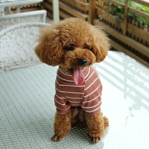   tH h hbO EFA ȂJo[I[ da16056