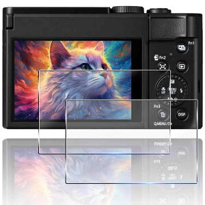 �Ή� LUMIX TZ99 �K���X�t�B���� 2���Z�b�g ��̌^�����Y�ی�t�B���� �Ή� Panasonic LUMIX DC-TZ99 �J�����t�B���� �ی�t�B���� �ϏՌ� �h���� �����ߗ� �I�o�I�[�o�[�h�~ �������� �w��h�~ �A��