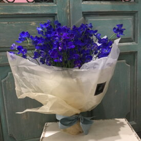 楽天市場 花束 デルフィの通販 楽天市場 花束 デルフィの通販