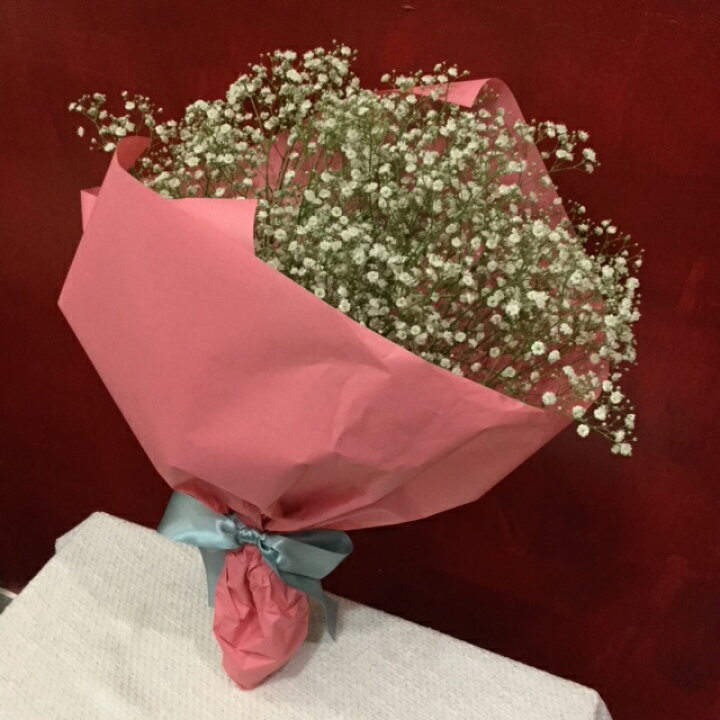 楽天市場 かすみ草の花束 生花 送別 卒業 送迎 誕生日ギフト お祝い ホワイト インスタ映え スワッグに インテリア ハーバリウム資材 ドライフラワーに ハンドメイド 花材 フラワーショッププチフルール