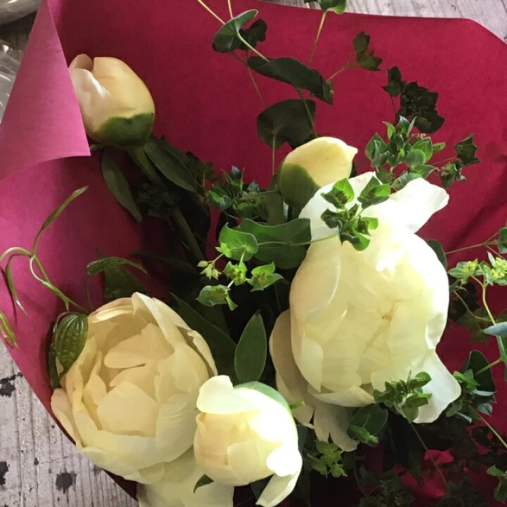 楽天市場 生花 芍薬の花束 シャクヤク フラワーギフト インテリアに 初夏のお花 フラワーショッププチフルール