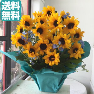 yԁzЂ܂̃AWgIyLLTCYzyԁzaMtgALOAɁII