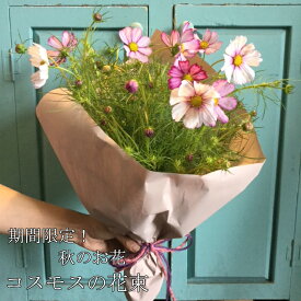 楽天市場 コスモス 花束 花 ガーデン Diy の通販