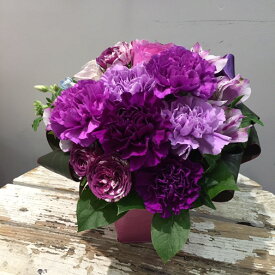 楽天市場 ムーンダスト カーネーション 花言葉の通販