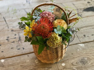 yoXPbgAWgzԁ@Cht[@ƋG߂̂Ԃ̃AWgIyMtgzyzyjzyaz