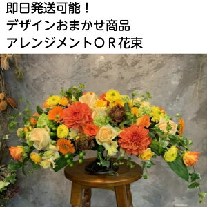 ܂t[Mtgyz\zyz ya/oYj////LOz