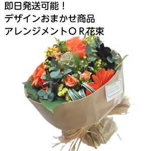 ܂t[Mtg@yΉoׁIya/oYj////LO/lz