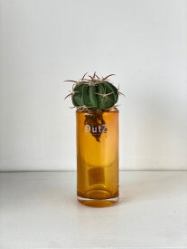 DutZ Collection(ダッツコレクション) シリンダースモールゴールド12　フラワーベース花瓶　1681412