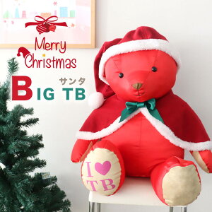 rbOTBT^[g80cm]NX}X fBXvC ̑ObY TvCYv[g q l 傫ȃefBxA ԂefBxA T^N[XefBxA NX}Xv[g