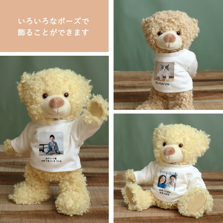 楽天市場】5%OFFクーポン☆フォトぐまポージング [3S 高さ22cm 