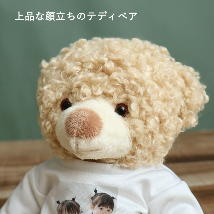 楽天市場】5%OFFクーポン☆フォトぐまポージング [3S 高さ22cm 